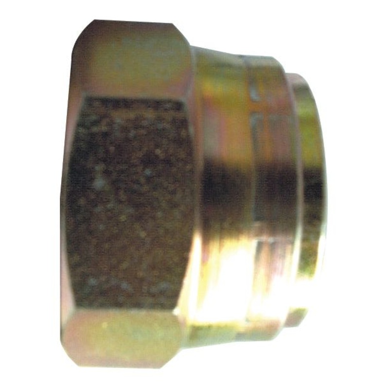 Hydraulic Adaptor 1'' BSP Swivel Blanking Cap | Sparex Part No.S.14125